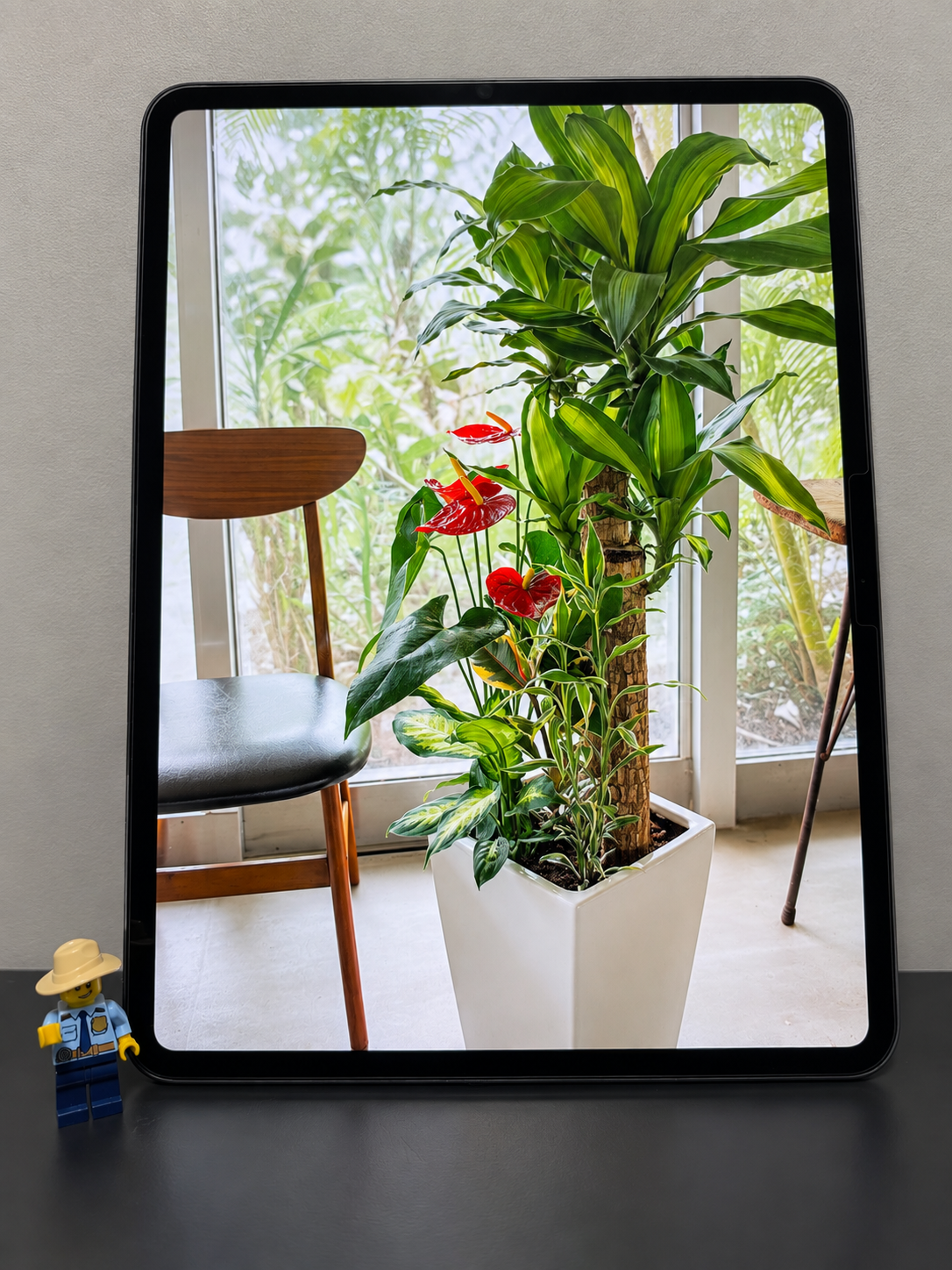 植物の写真を表示した私の13インチiPad Pro(M4)